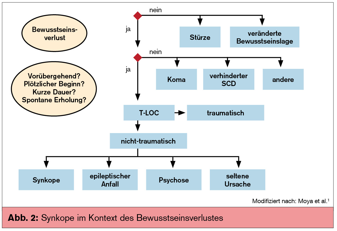 Wie Gefährlich Ist Eine Synkope www.medmedia.at